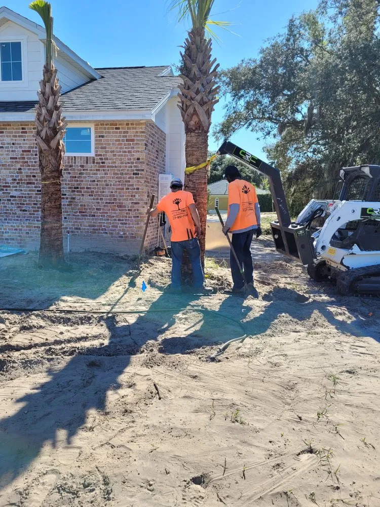 Trusted yard cleanup service experts serving St. Petersburg, FL - Royal Tree and Lawn Services