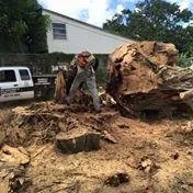 Custom yard cleanup service in Fort Lauderdale, FL - Royal Tree Service & Landscaping