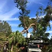 Affordable residential landscaping for residential properties in Fort Lauderdale, FL by Royal Tree Service & Landscaping