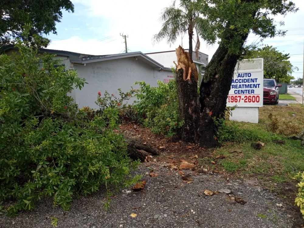 Professional landscape design experts serving Hollywood, FL - Royal Tree Service And Landscaping