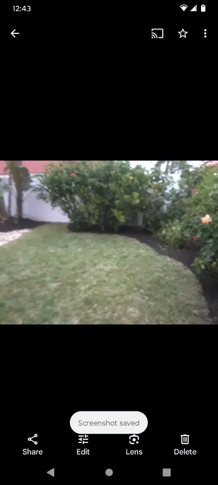 Professional lawn mowing service experts serving Hollywood, FL - Royal Tree Service And Landscaping