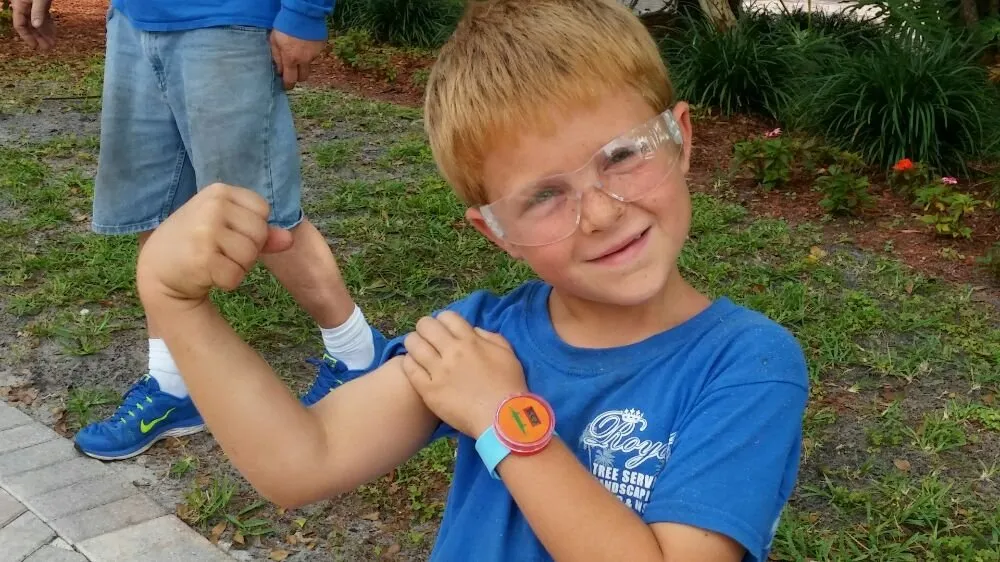 Top-rated lawn care service for homes in Hollywood, FL by Royal Tree Service And Landscaping