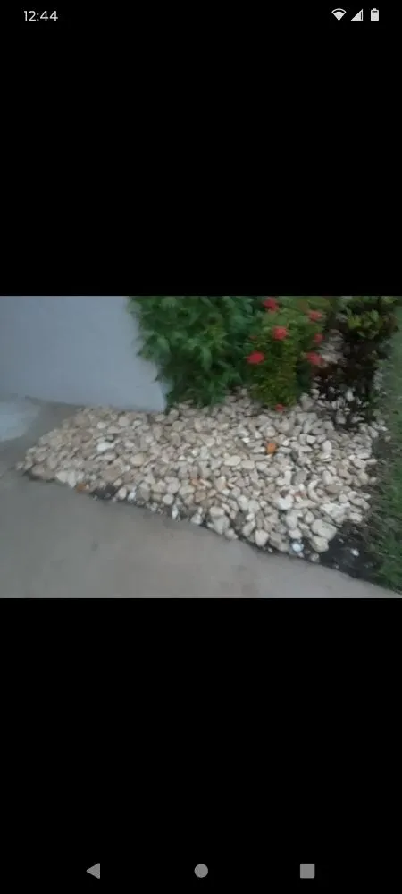 Local outdoor landscaping for residential properties across Hollywood, FL - Royal Tree Service And Landscaping