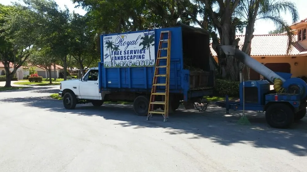 Custom lawn mowing service in Hollywood, FL - Royal Tree Service And Landscaping