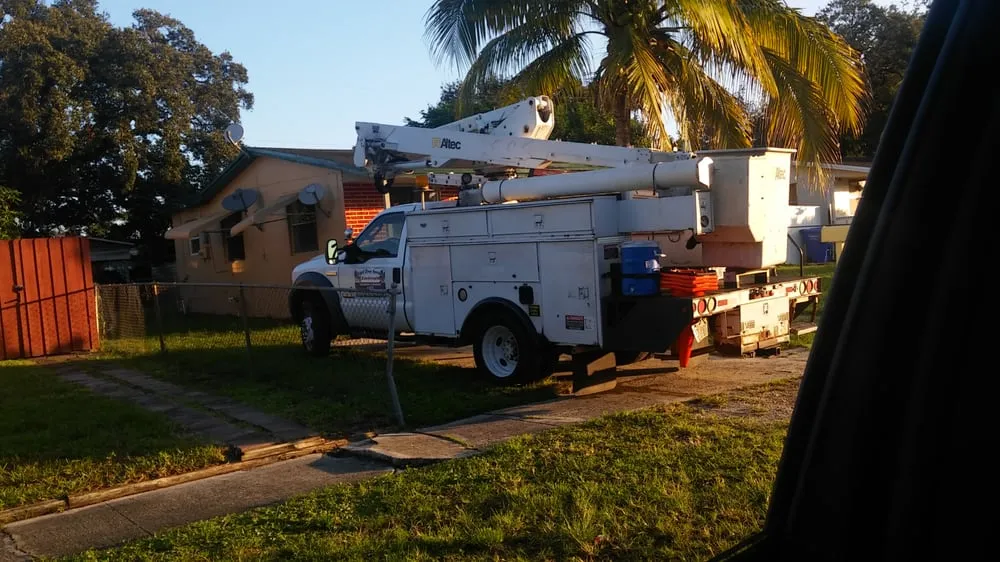 Custom outdoor landscaping experts serving Hollywood, FL - Royal Tree Service And Landscaping