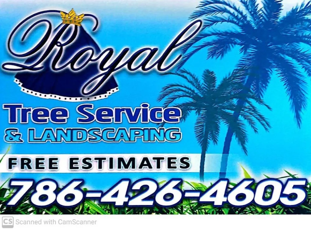Reliable yard cleanup service in Hollywood, FL by Royal Tree Service And Landscaping