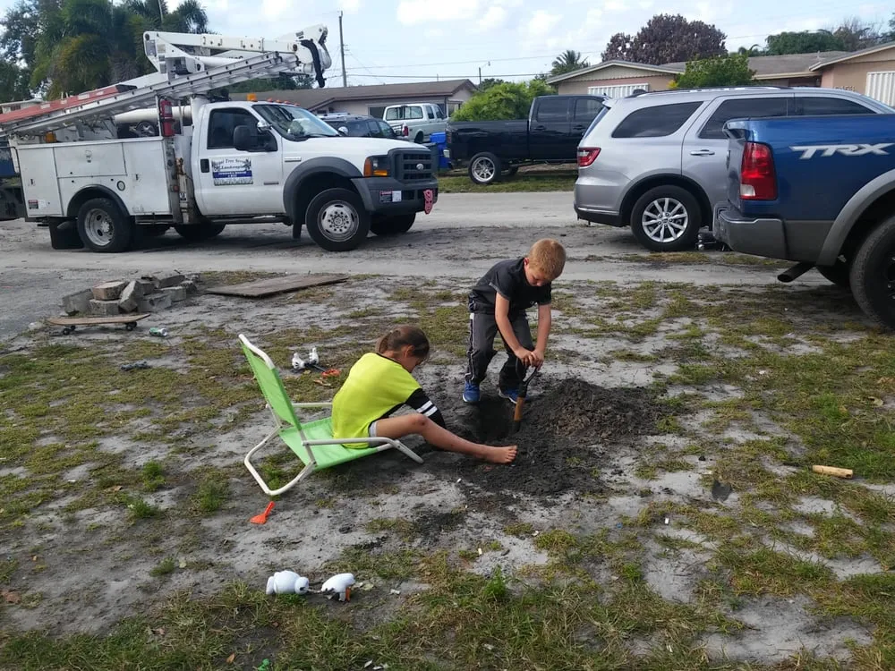 Professional lawn mowing service for year-round maintenance across Hollywood, FL - Royal Tree Service And Landscaping