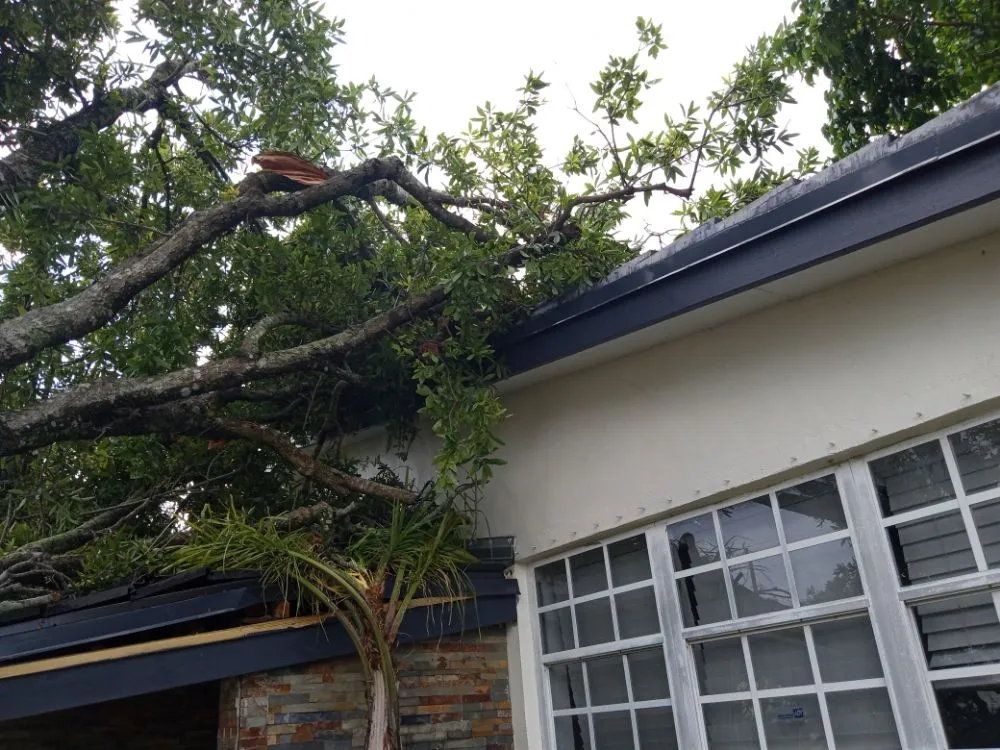 Affordable yard cleanup service with custom design across Hollywood, FL - Royal Tree Service And Landscaping