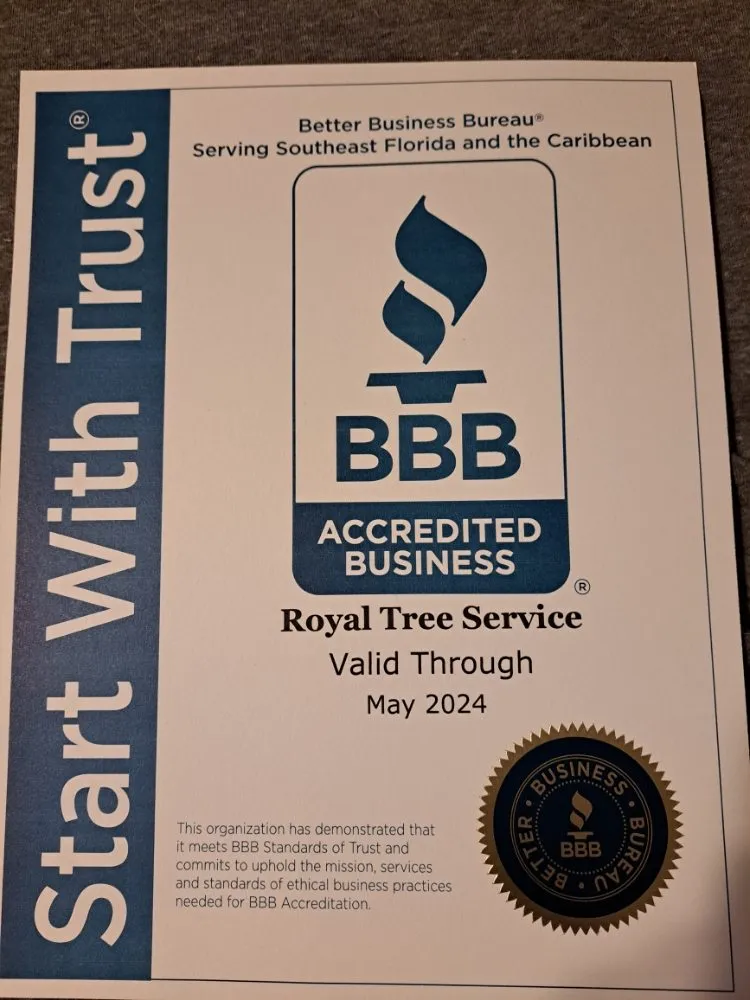 Local landscaping services experts serving Hollywood, FL - Royal Tree Service And Landscaping