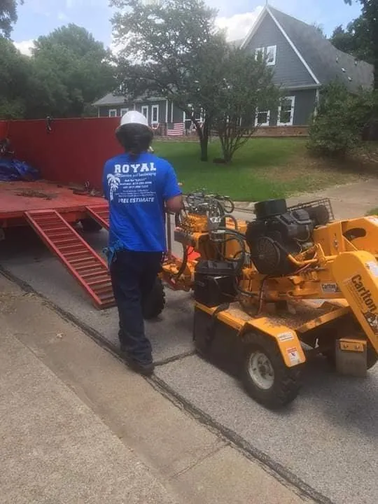 Reliable yard cleanup service in Richland Hills, TX - Royal Tree Service And Landscaping