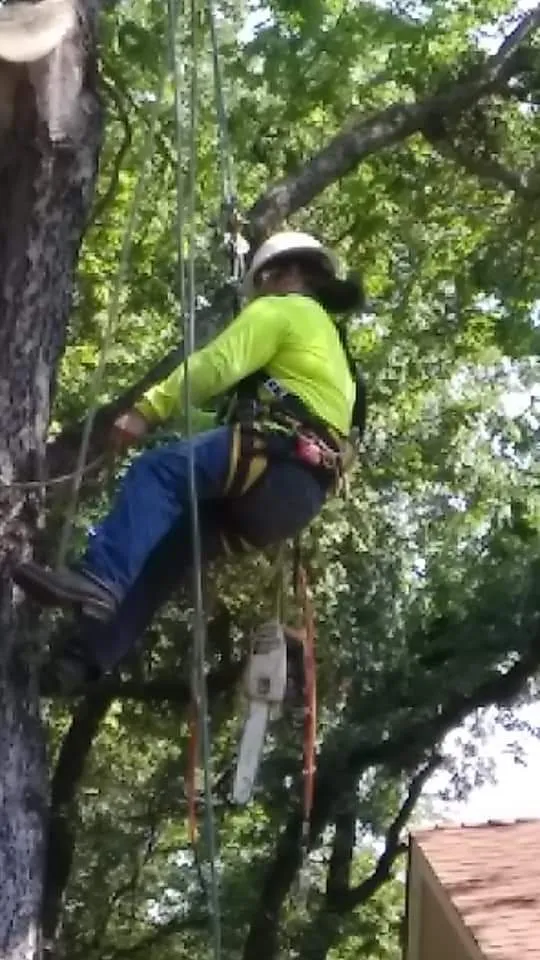 Trusted residential landscaping with custom design in Richland Hills, TX by Royal Tree Service And Landscaping