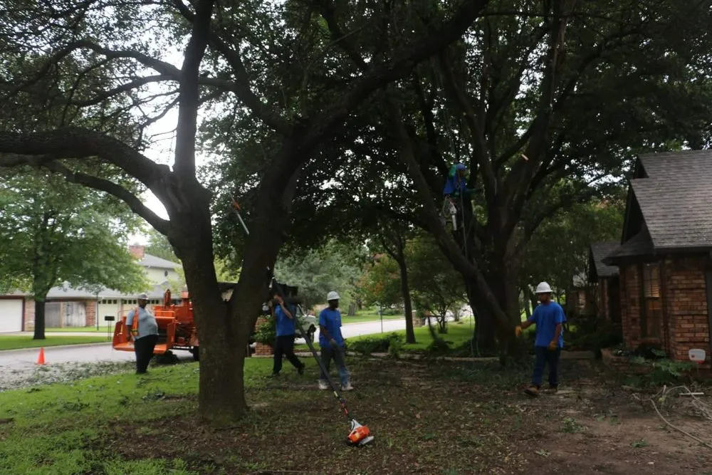 Custom landscape design experts serving Richland Hills, TX - Royal Tree Service And Landscaping