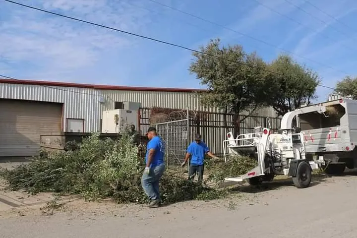 Top-rated yard maintenance with custom design across Richland Hills, TX - Royal Tree Service And Landscaping