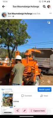 Royal Tree Service And Landscaping