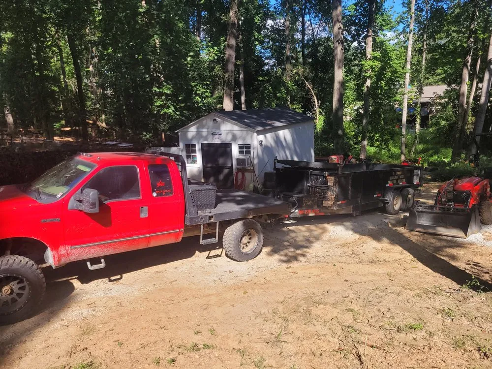 Reliable yard cleanup service for year-round maintenance in China Grove, NC by Royal Tree Service