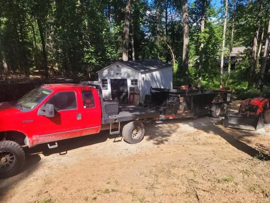 Royal Tree Service Logo