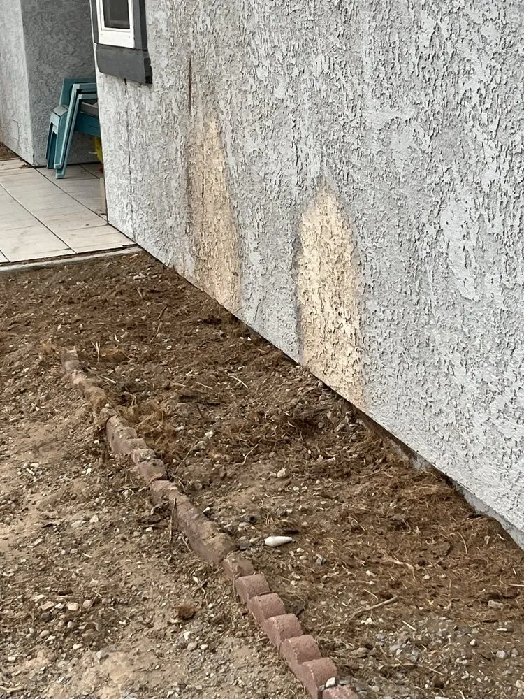 Top-rated yard cleanup service experts serving Las Vegas, NV - Royal Tree Service