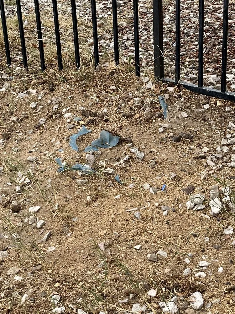 Top-rated landscape design in Las Vegas, NV - Royal Tree Service