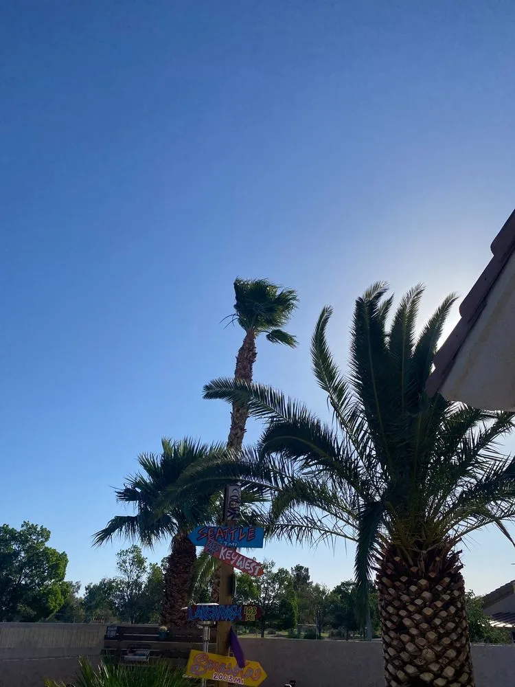 Professional landscaping services for year-round maintenance across Las Vegas, NV - Royal Tree Service