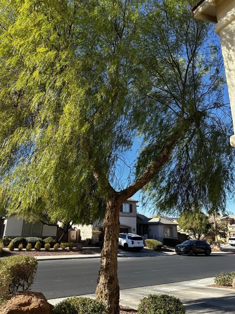 Reliable garden landscaping near you across Las Vegas, NV - Royal Tree Service