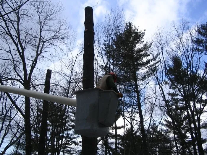 Professional garden landscaping experts serving Salem, NH - Royal Tree Service