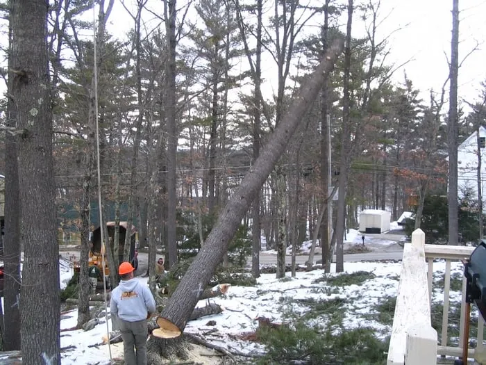 Trusted landscape installation for residential properties across Salem, NH - Royal Tree Service