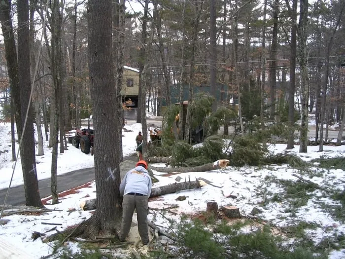 Top-rated yard maintenance for residential properties across Salem, NH - Royal Tree Service