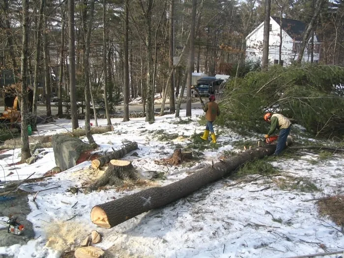 Custom garden landscaping in Salem, NH - Royal Tree Service