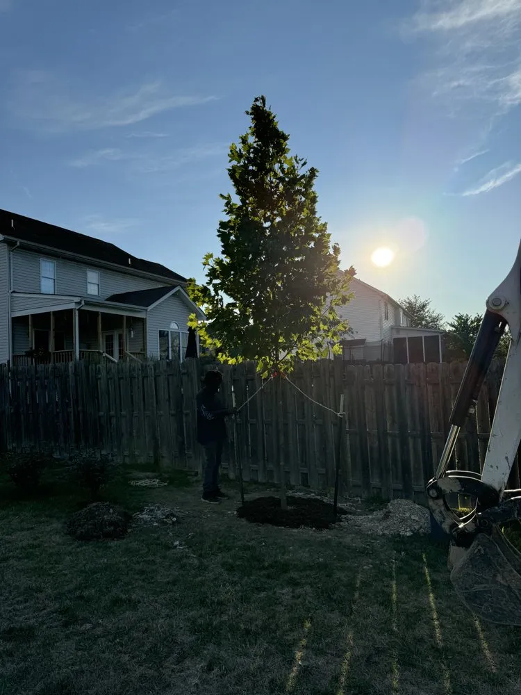 Professional landscape installation for beautiful yards across Front Royal, VA - Royal Trees