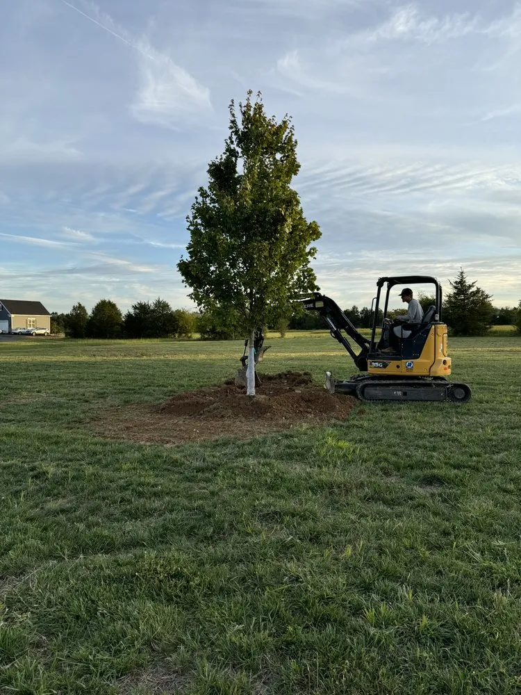 Expert yard maintenance in Front Royal, VA by Royal Trees