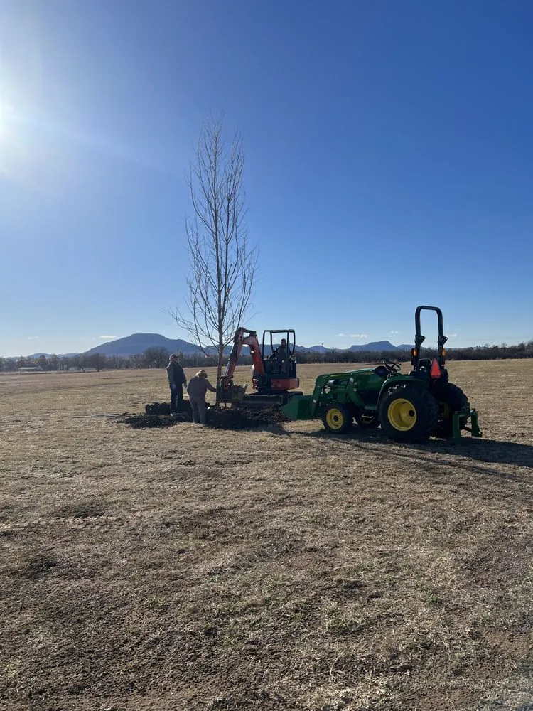 Local lawn care service in Front Royal, VA - Royal Trees
