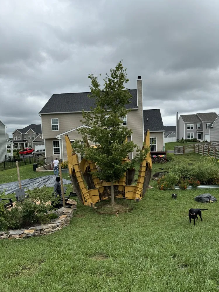 Trusted lawn mowing service for residential properties in Front Royal, VA by Royal Trees