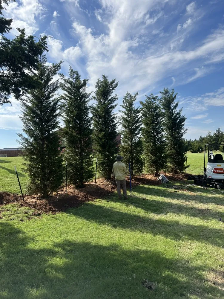 Affordable landscape design experts serving Front Royal, VA - Royal Trees