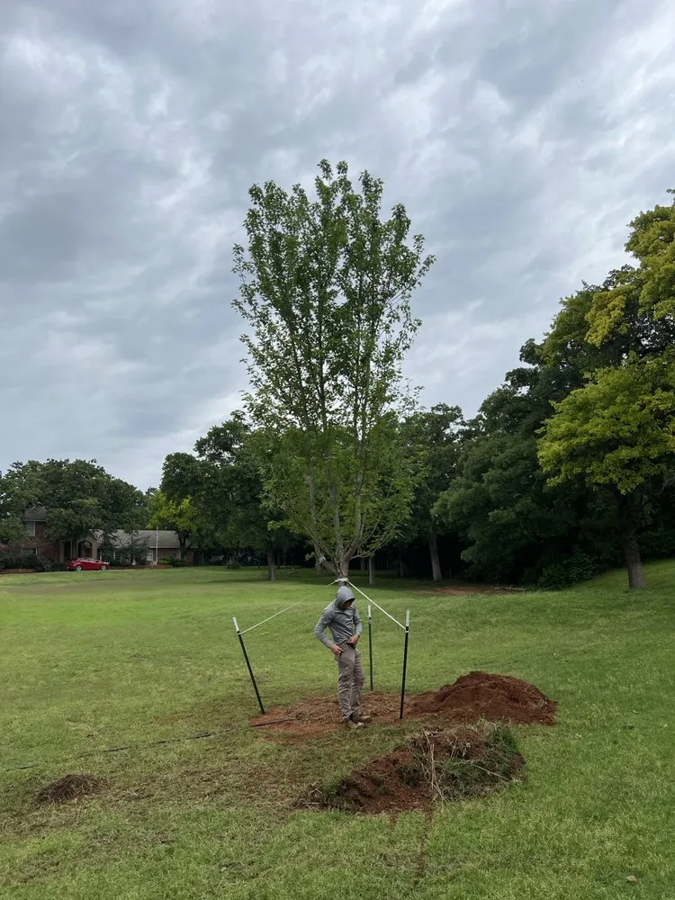Local lawn care service in Front Royal, VA - Royal Trees