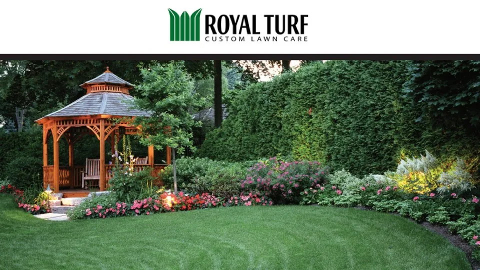 Top-rated yard cleanup service experts serving Stirling, NJ - Royal Turf