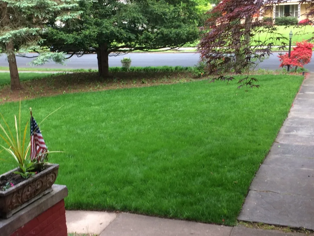 Trusted yard maintenance for year-round maintenance across Stirling, NJ - Royal Turf