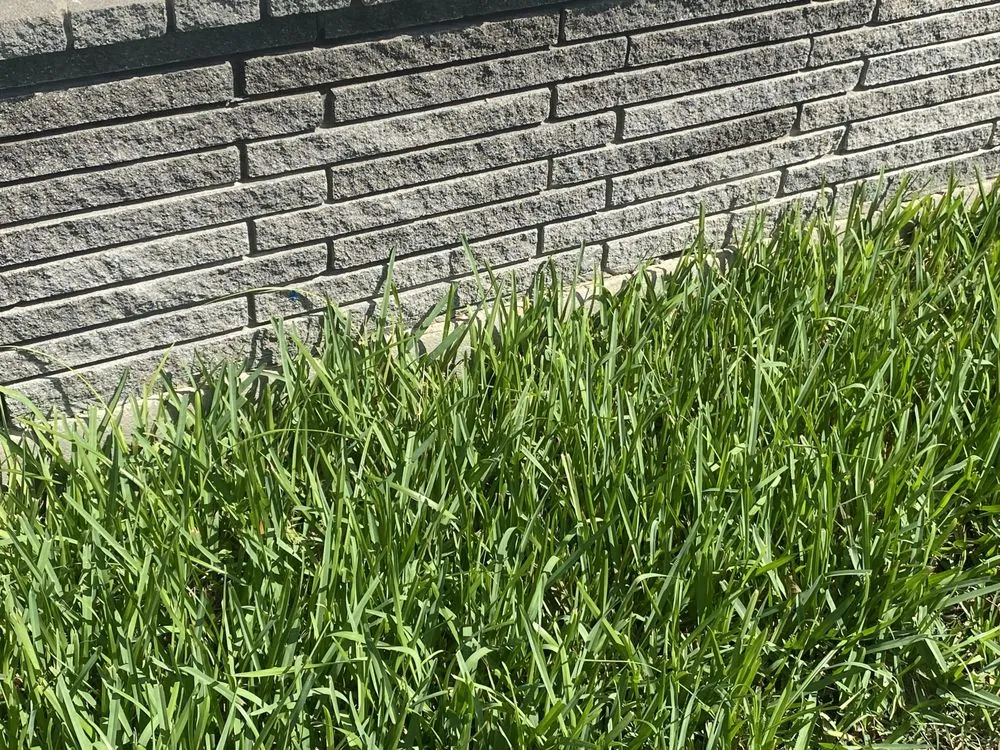 Local yard maintenance for residential properties across San Antonio, TX - Royal Village Lawn Care