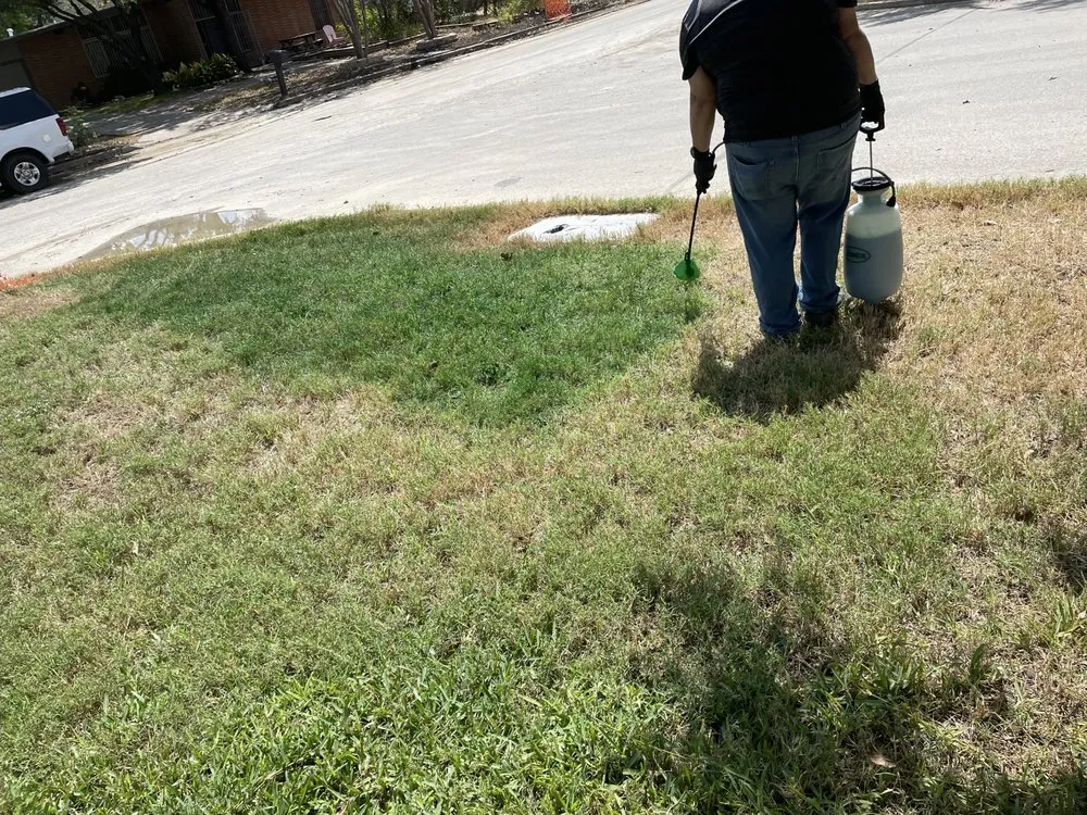 Professional garden landscaping in San Antonio, TX - Royal Village Lawn Care