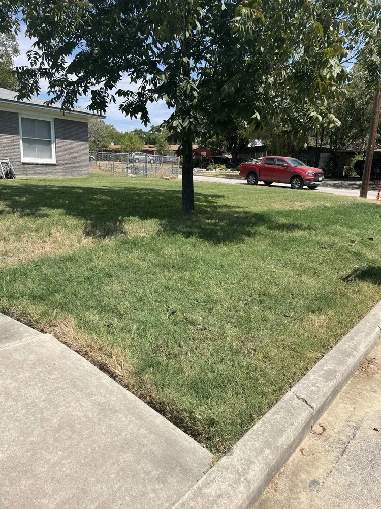 Local landscape installation experts serving San Antonio, TX - Royal Village Lawn Care