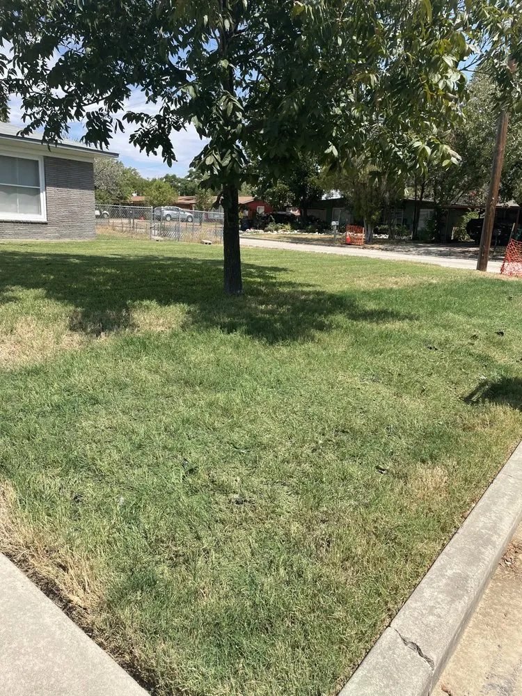 Local outdoor landscaping for year-round maintenance across San Antonio, TX - Royal Village Lawn Care