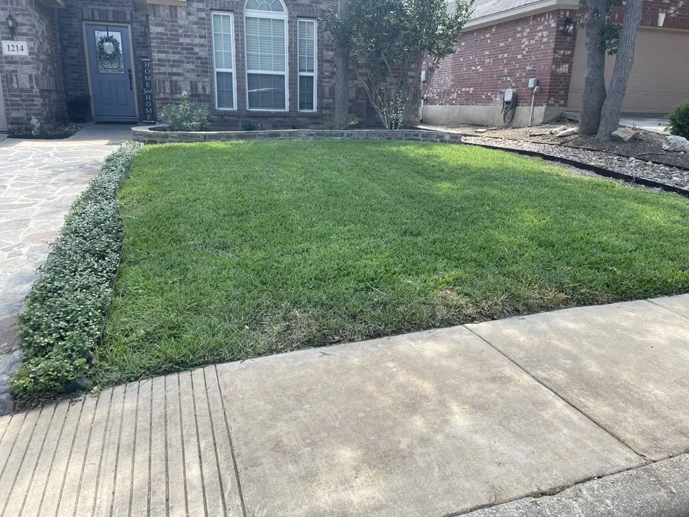 Trusted yard cleanup service experts serving San Antonio, TX - Royal Village Lawn Care