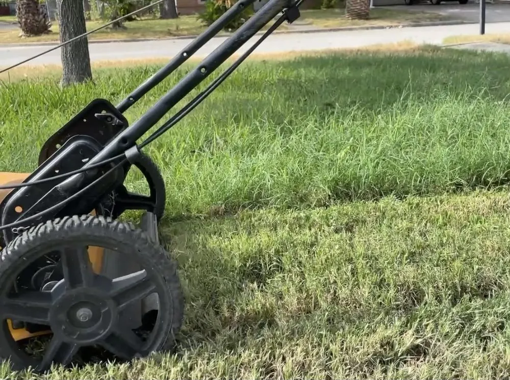 Custom yard cleanup service experts serving San Antonio, TX - Royal Village Lawn Care