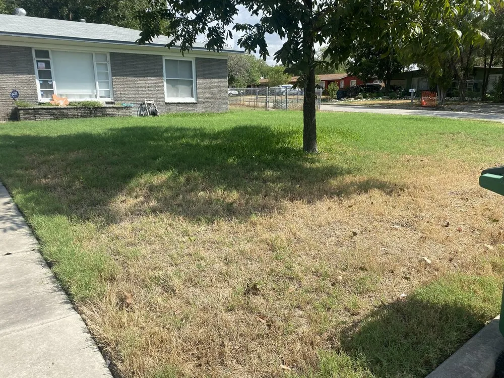 Reliable lawn mowing service experts serving San Antonio, TX - Royal Village Lawn Care