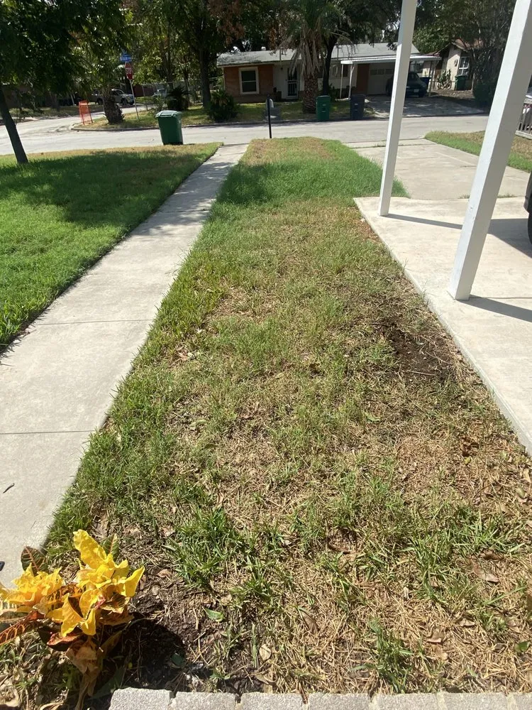 Custom landscape installation for homes across San Antonio, TX - Royal Village Lawn Care