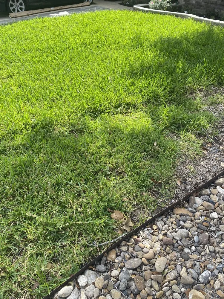 Reliable outdoor landscaping for beautiful yards across San Antonio, TX - Royal Village Lawn Care