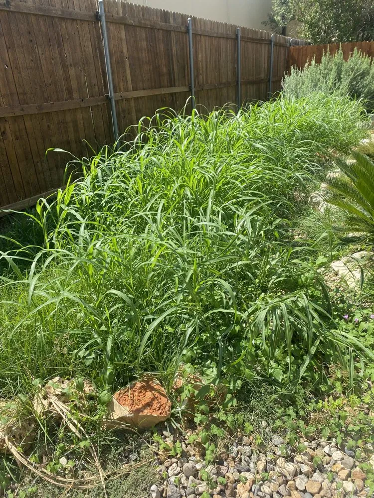 Custom landscaping services in San Antonio, TX - Royal Village Lawn Care