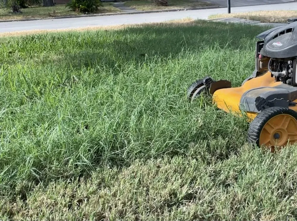 Professional landscape design in San Antonio, TX - Royal Village Lawn Care