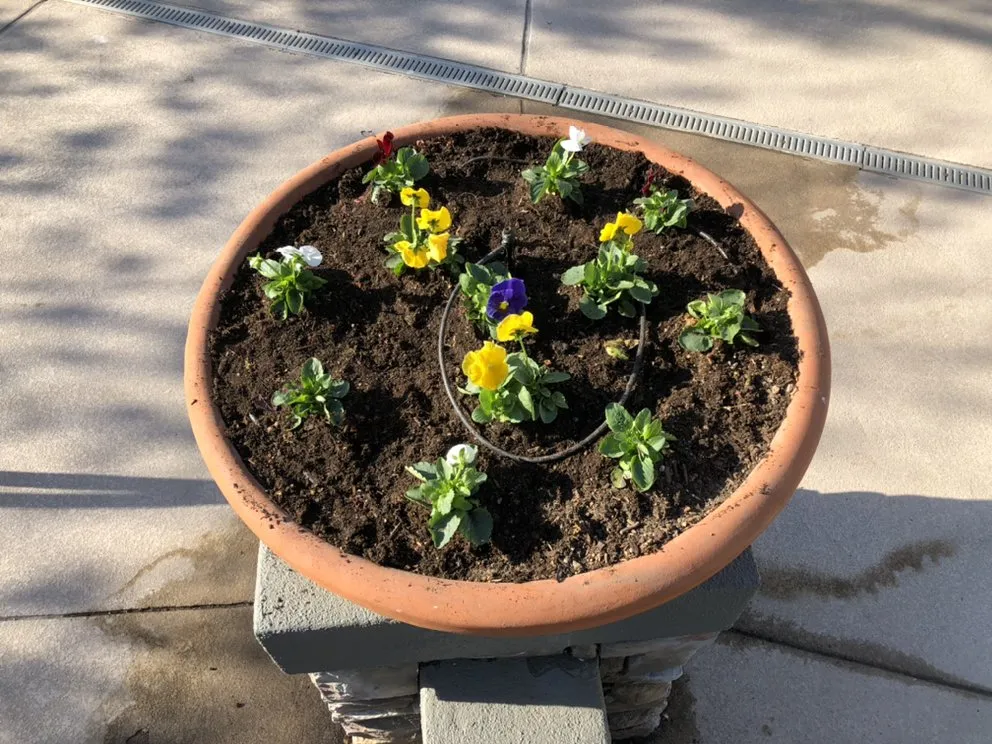 Top-rated landscape installation near you across Fairfield, CA - Royal Vision Landscape