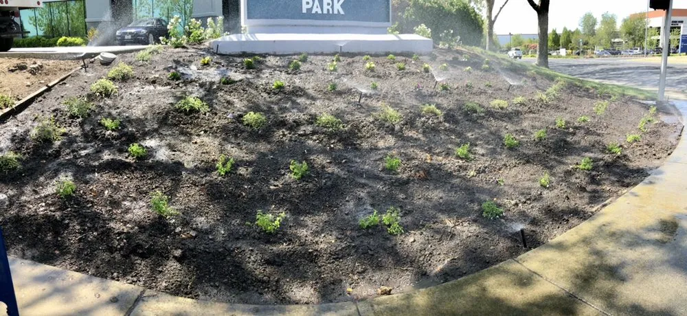 Professional landscape design near you across Fairfield, CA - Royal Vision Landscape