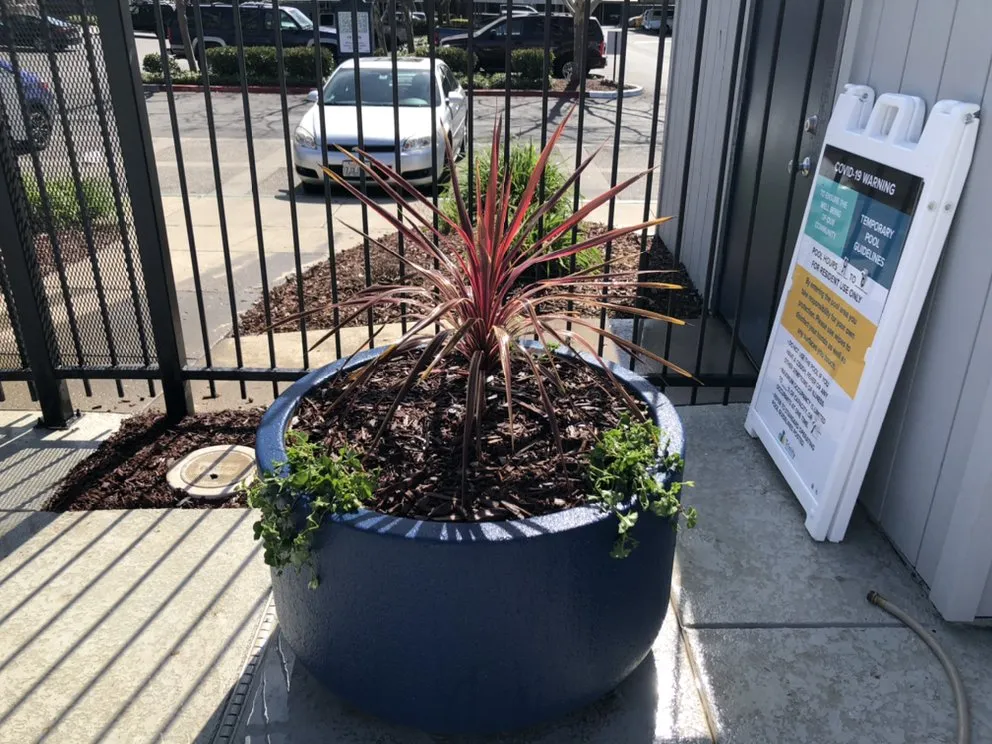 Custom outdoor landscaping for homes across Fairfield, CA - Royal Vision Landscape